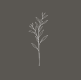 logo bare beauty esthetics